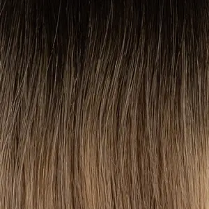Brunette Balayage "Bronde" Narrow Edge