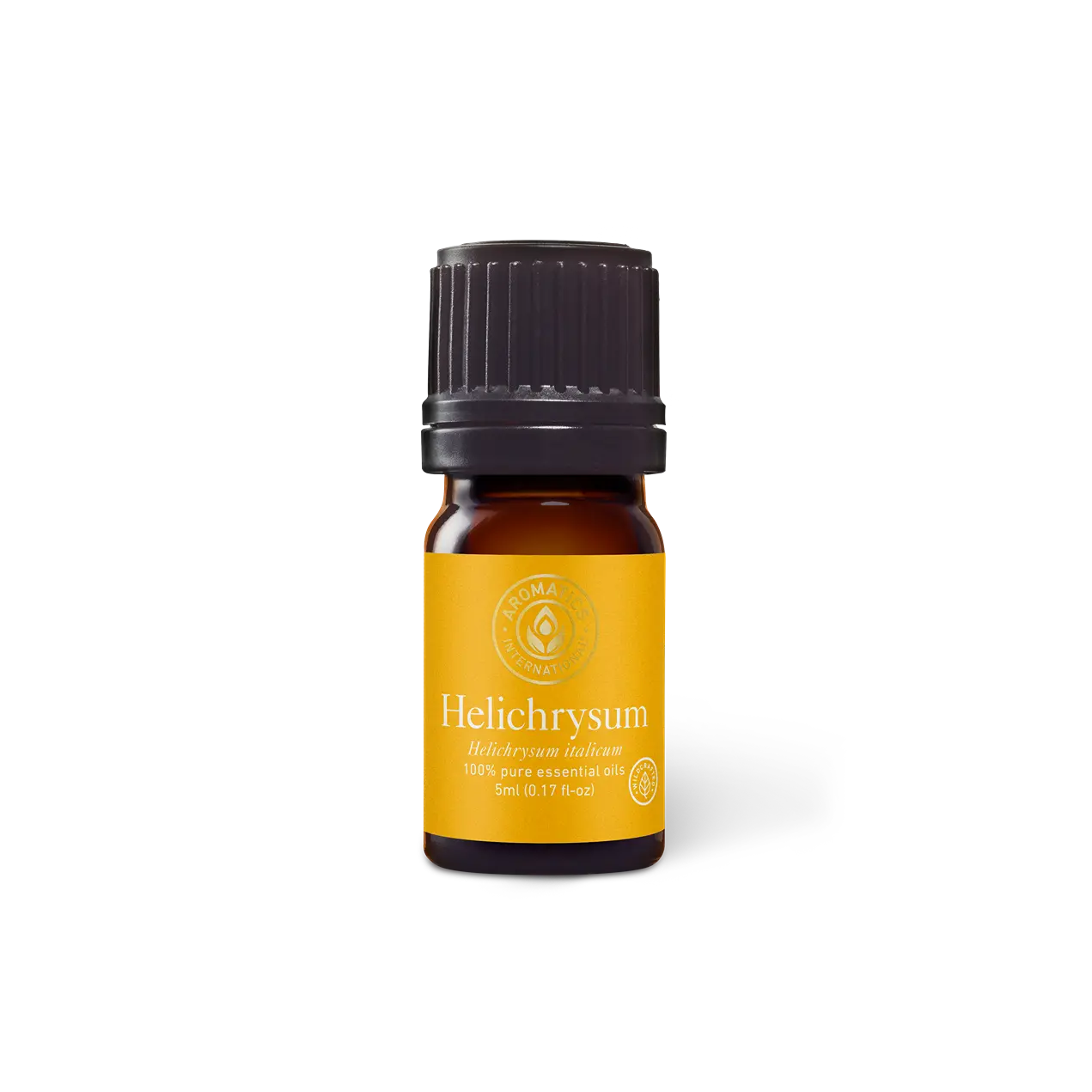 Helichrysum italicum Essential Oil (Corsica) for Aromatherapy and Wellness  Therapeutic Solution