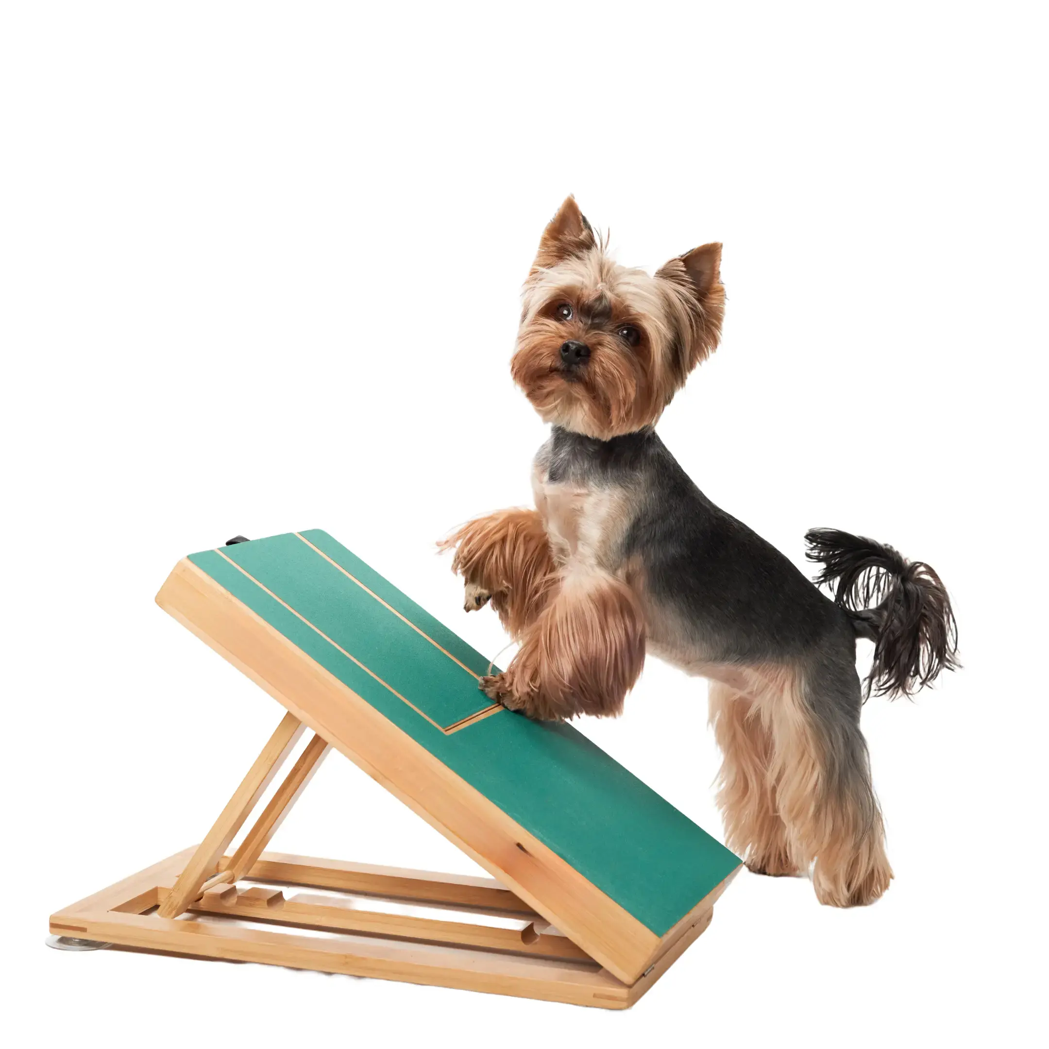 Dog Nail File Board Dog Nail File Board