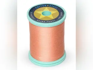Cotton + Steel 50wt Thread by Sulky - Peach (1019)