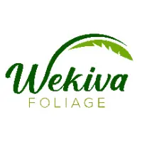 Wekiva Foliage