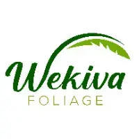 background preload poster image 