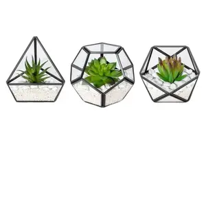 3pack Mini Glass Geometric Terrarium for Bookshelf, Desk, Boho Office Room Decor