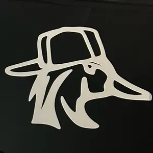 Backwards hat duck decal