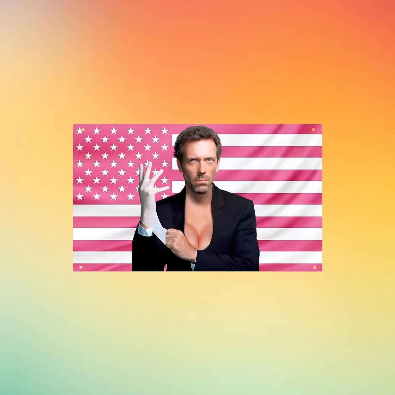 Dr House Pink US Flag, House MD Wall Tapestry, Gregory House Meme Wall Flag, Funny Dorm Room Decor, Medical TV Fan Gift