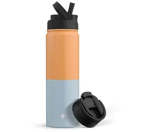 Triple Insulated Sports Water Bottle with Flip Lid & Straw Leakproof Design
