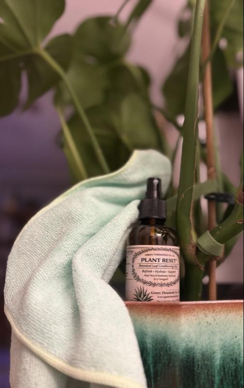 Green Threshold Co. Rosemary Botanical Reset Spray for Indoor Plants - Refresh Hydrate Support Aloe Vera Rosemary Hydrolate Eco Geogard