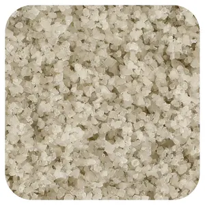 Frontier Co-op Sel Gris (Tamise) Sea Salt, 16 oz (453 g)