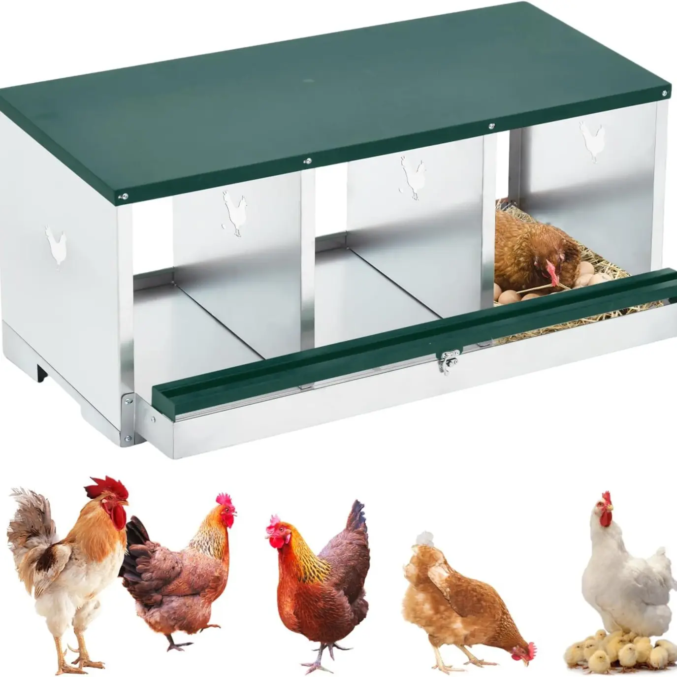 Green | 3 Compartment