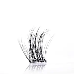 Wispy Clear Band Lash Clusters - Youth Friendly Natural Enhancement for Subtle Look