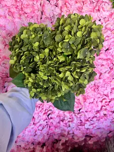 16 Inch Dark Green Hydrangea Bush