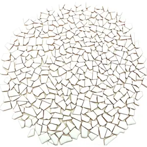 1.1LB Irregular Ceramics Mosaic Tiles, Mosaic Pieces Stones for DIY Mosaic Making Craft Hobby Arts Home Wall Decoration (White)