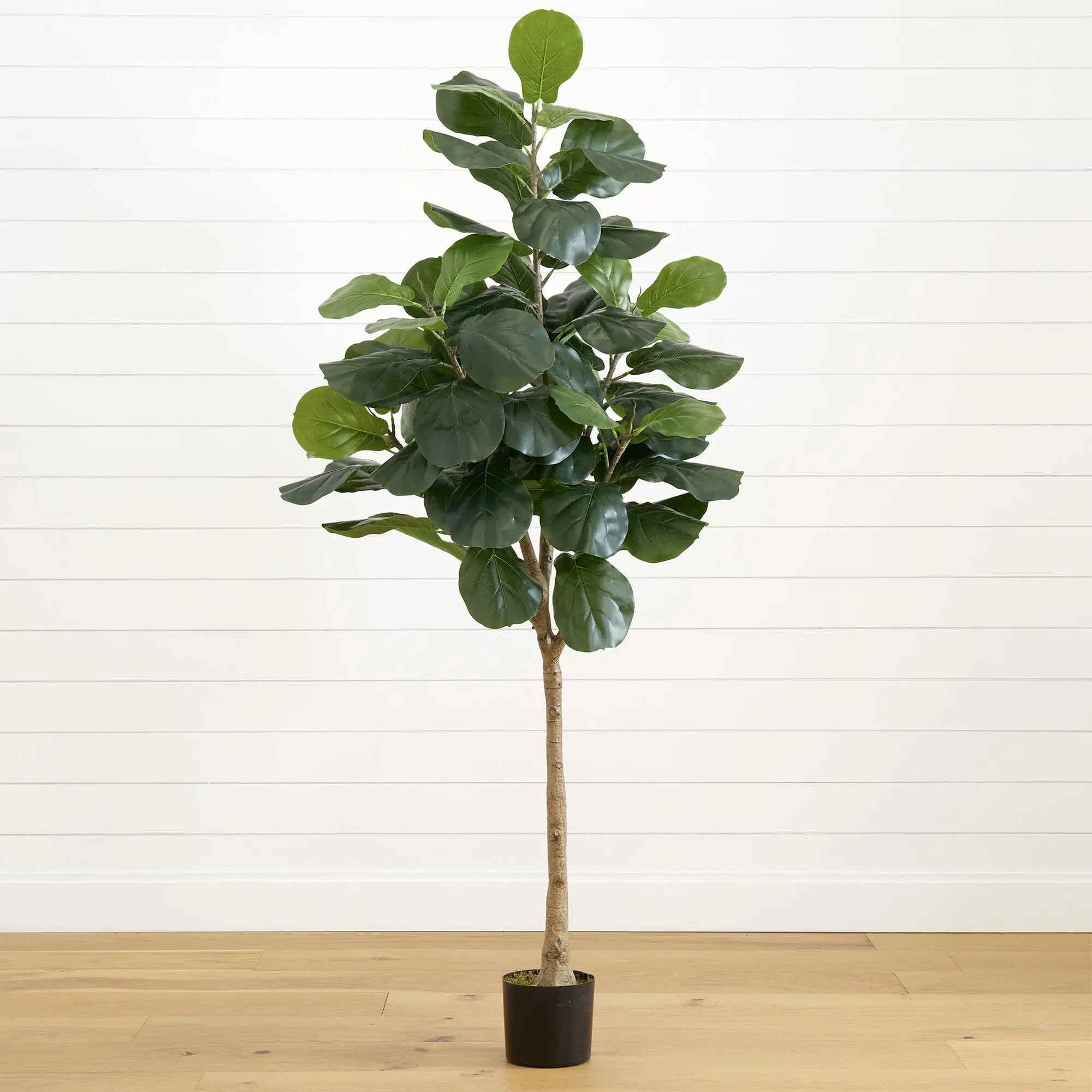 NEARLY NATURAL 6' Height Synthetic Fiddle Leaf Tree, Indoor Plants for Living Room Decor, Realistic Accent Plant