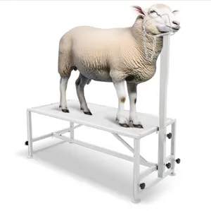 Livestock Stand 51x23, Adjustable Goat Milking & Sheep Trimming Stand, Steel Frame, 500lbs Capacity Animal Livestock Stand 51x23, Adjustable Goat Milking & Sheep Trimming Stand, Steel Frame, 500lbs Capacity Animal