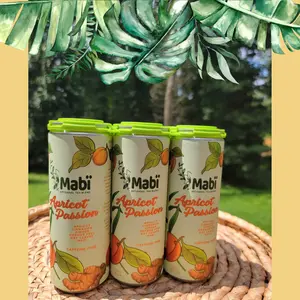 Apricot Passion Cold Brewed Spice Tea (12 pk) Beverage Fruit Lemon