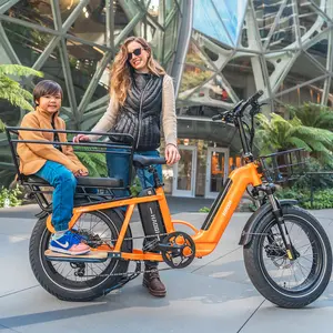 HAOQI Camel Cargo Ebike - Latest SUV Ebike(Dual Battery/750W motor/Strong payload capacity of 450lbs)