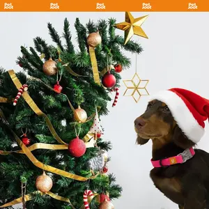 Pet Joot AllWeather Waterproof Dog Collar , Detachable, Durable PVC with Honeycomb Design, Quick Release Buckle, Eco-Friendly Plastic Clasp small puppy christmas dog