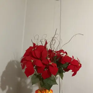 PBSEV Security Cameras for Home Protection, 4Pcs 1080P Panoramic Bluetooth/WiFi Indoor Camera with Motion Tracking, Automatic Color Night Vision, 2-Way Talk Surveillance Cam