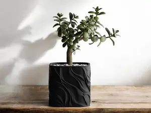 Silk Breeze Planter – Elegant Round Flower Pot for Indoor Plants, Succulents, Herbs & More – Ideal Planters for Indoor Vases, Stylish Orchid or Snake Plant Display