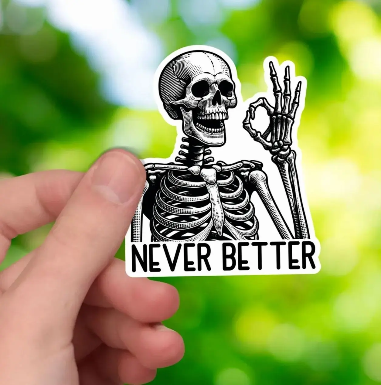 Never Better Skeleton Sticker, Funny Skeleton Decal, Dark Humor Skull Sticker, Spooky Goth Skeleton Vinyl, Halloween Skeleton Sticker, Cars, Trucks, Laptops, Coolers, Toolboxes, Windows & More, Vinyl Sticker