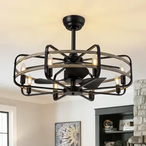 20/30 Inch Caged Ceiling Fan with Light, Bladeless Farmhouse Ceiling Fan with Remote 6 Speed Reversible Industrial Fandelier for Living Room Bedroom Kitchen