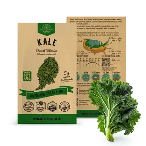 Kale Dwarf Siberian Seeds Pack 5G