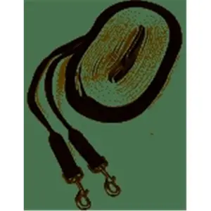 212 MAIN Bird Training Driving Reins - 30 ft Nylon & Cotton Webbing, Bolt Snap Pet Training Aid