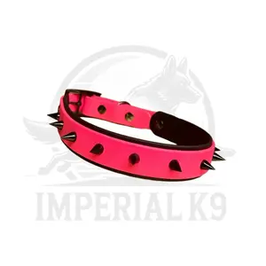 Water proof 1” Spiked layered collar | Made with Biothane puppy essential puppy collar