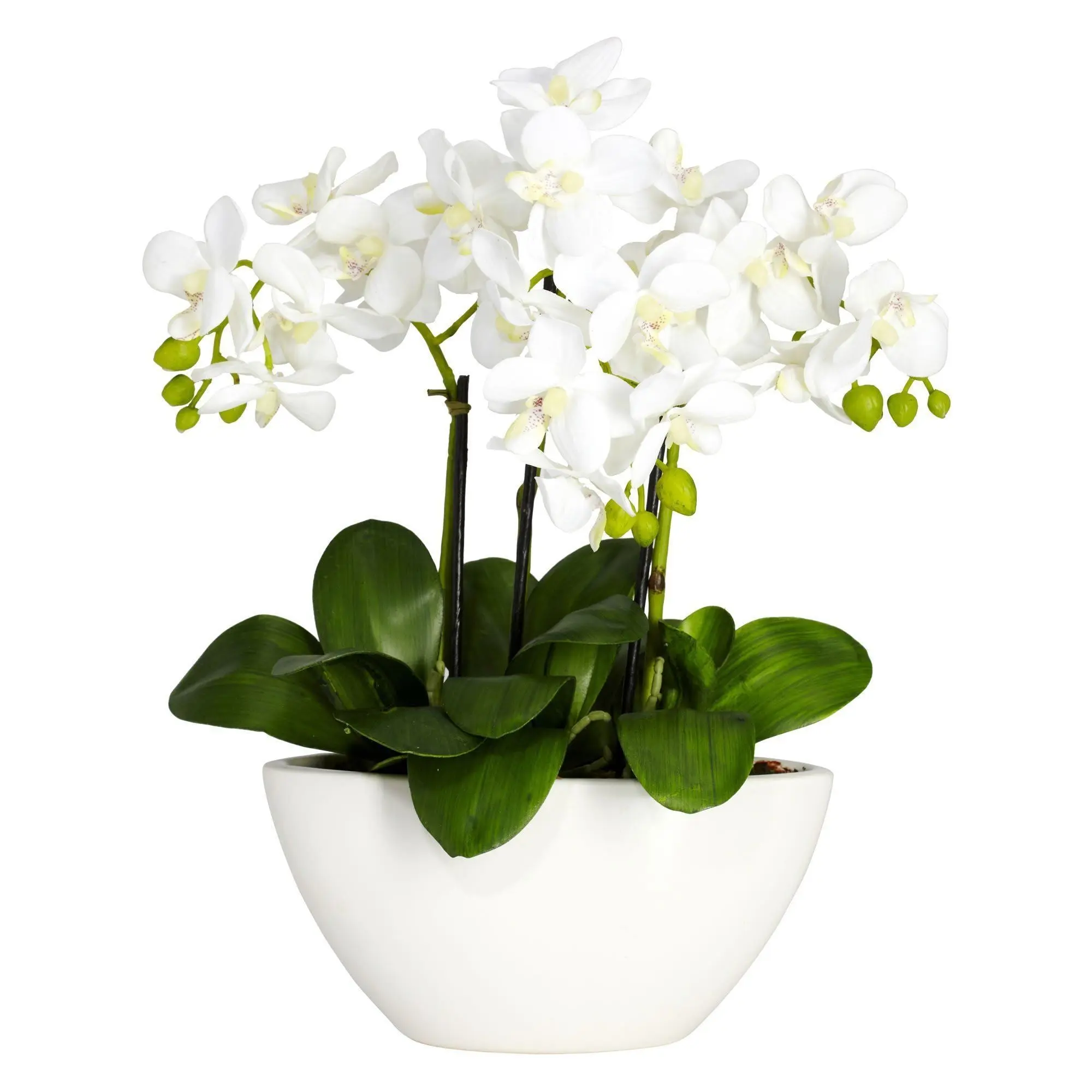 Artificial Mixed Flower Arrangement with Phalaenopsis, Berries, Fruit, and Vase - Decorative Flowers for Home Room Decor