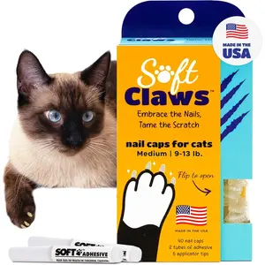 Cat Nail Caps for Medium Cats (40 Caps, Clear) Made in USA Veterinarian-Developed Protects Furniture & Skin Easy to Apply Long-Lasting Anti-Scratch Soft Cat Claw Covers