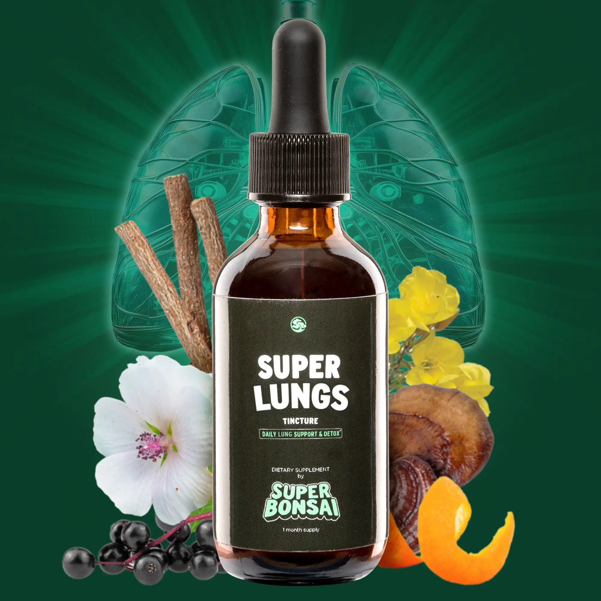 SuperBonsai Super Lungs - Natural Ingredients with Mullein and Elderberry - Dail...