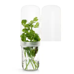 The Herb Angel BPA Free Clear Herb Container for Fridge - Fresh Herb Keeper for 2-3 Weeks Kitchen Storage Mason Jar Lid