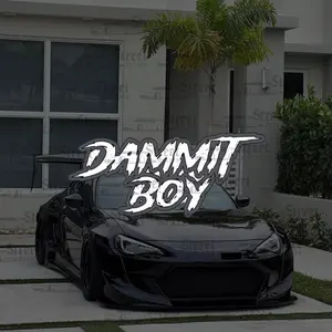 Dammit boy decal with 2 colors