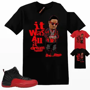 Tee Shirt Matching AJ 12 Flu Game 2025 Match Sneaker Sneakerhead Biggie T-Shirt