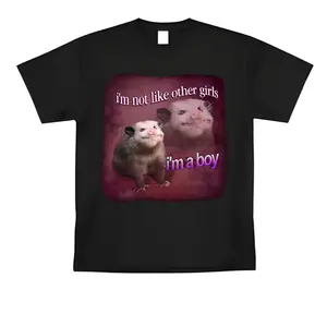 Funny I'm Not Like other Girl I'm a Boy T-Shirt Meme Graphic Tee Humor