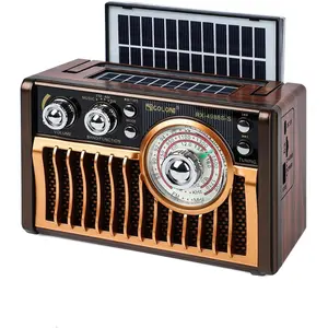 Portable AM FM Radios, Retro Radios with High- Speakers, Support USB Power and Solar Panels . TF Card (Rose )