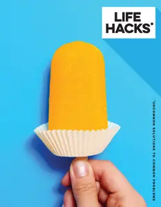 USED-Life Hacks: Uncommon Solutions to Common Problems by Staff, Annabel (Hardcover)