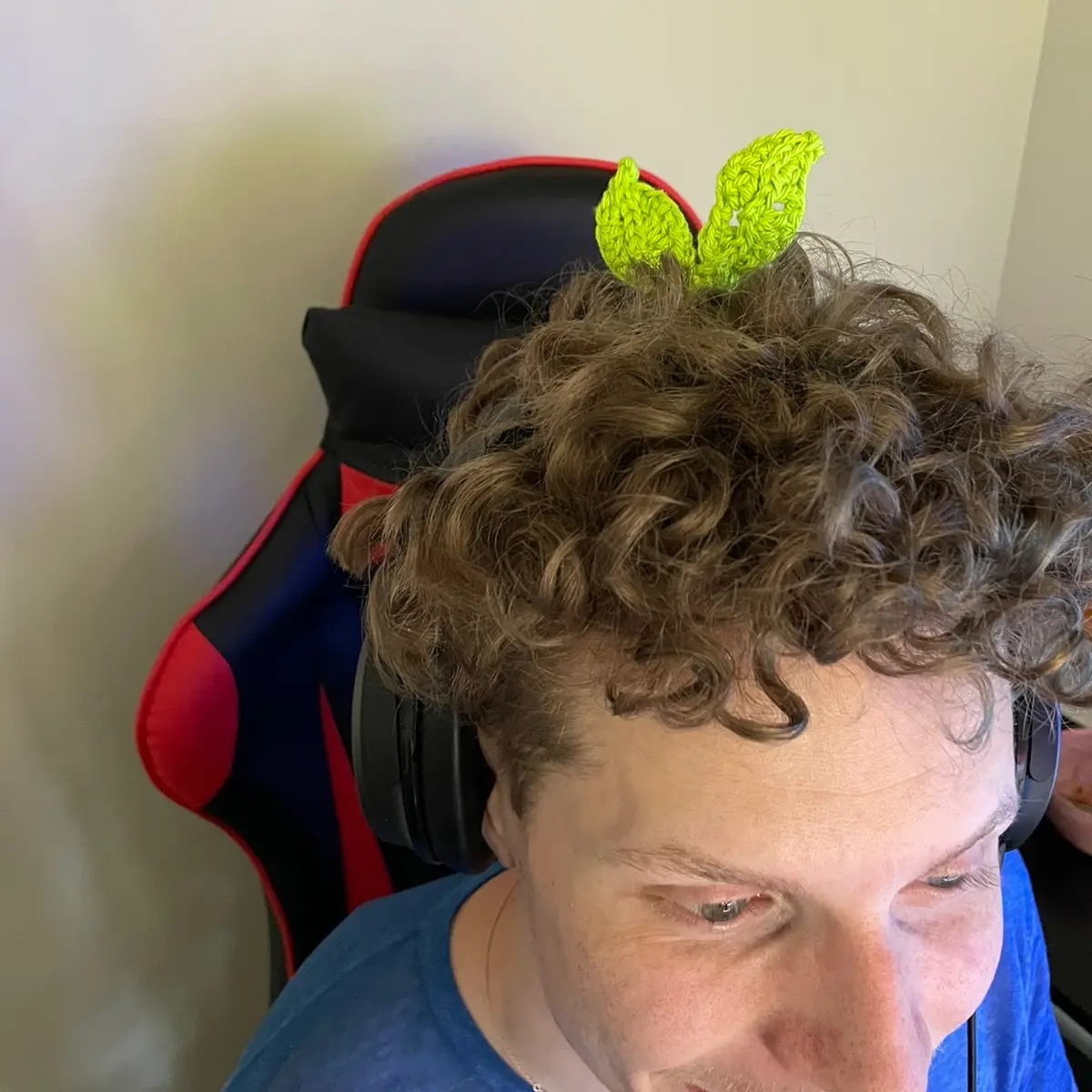 Crocheted Headphone Sprout