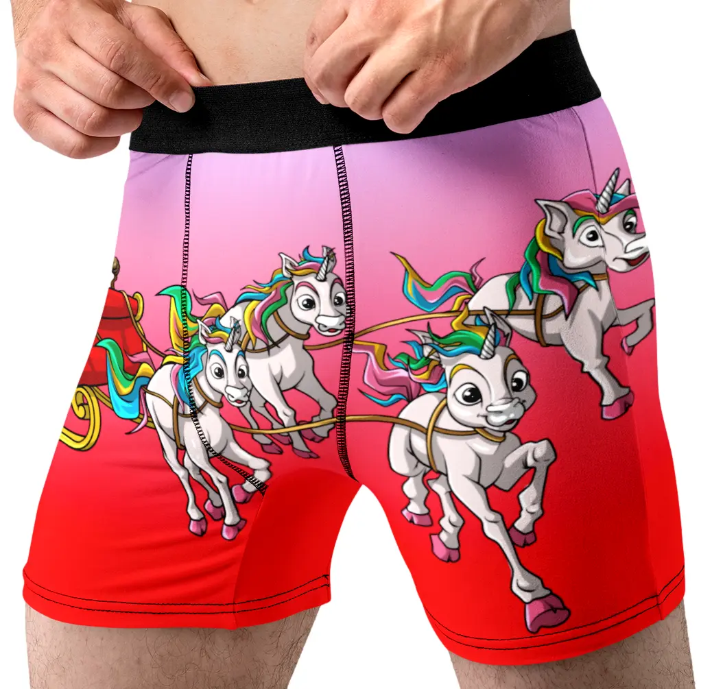 Random Stock Apparel Unicorn Santa Sleigh Boxer Briefs Funny Christmas Gift