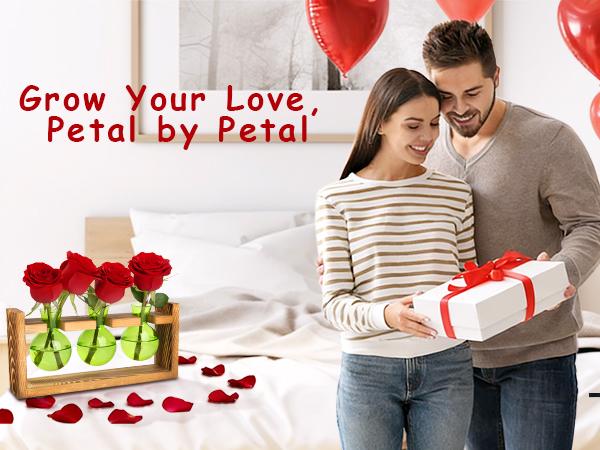 XXXFLOWER Colored Glass Plant Propagation Station 3 Bulb Desktop Flower Vase Stand Gift for Women Elegant Glass Material for Plant Lovers