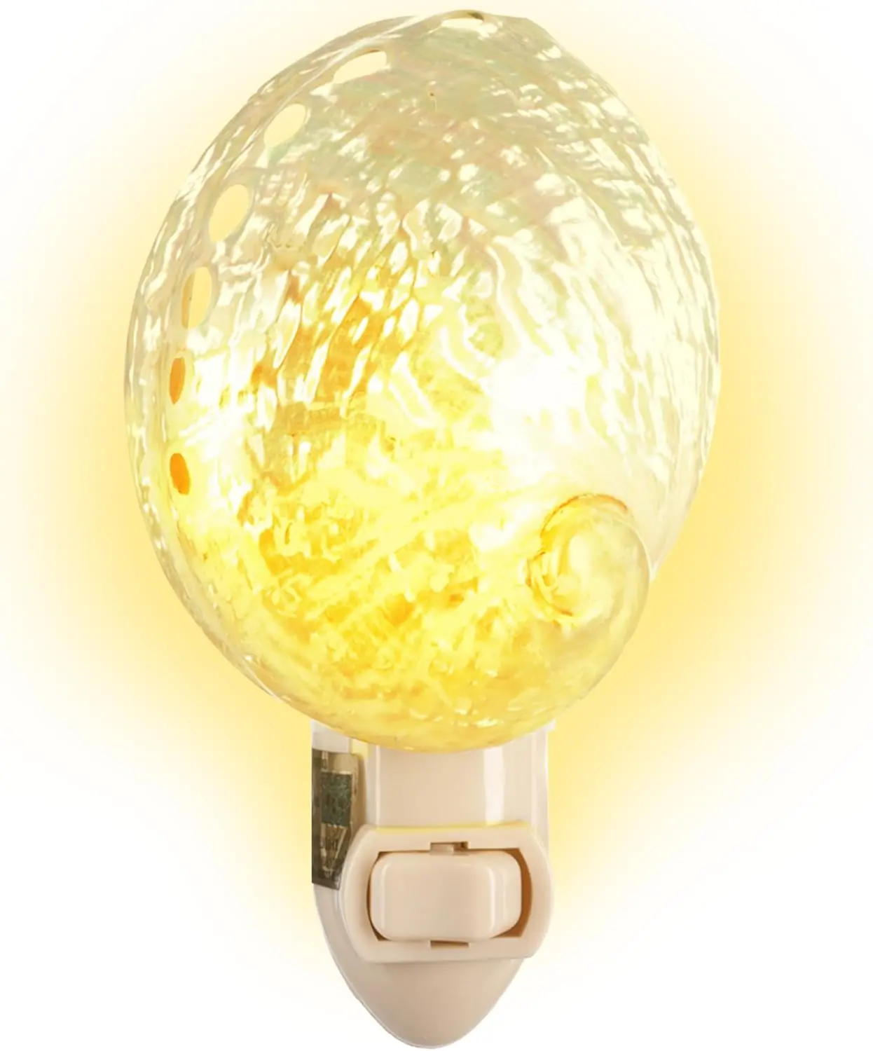 Ashell PrLED Abalone Seashell Night Light - Plug-in Wall Shell Light with White Clam Shell, Nautical Gentle Illumination, Bathroom Indoor Decor, Perfect Gift for Ocean Lovers