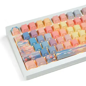 Side Printed keycap-PBT keycaps,Double Shot,Shine Through Custom keycap 75 Percent,130key Cherry Profile dye-sub keycaps for Machine Keyboard caps(Blue/Orange,only keycaps)