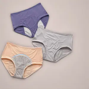 Women's High-Waist Brief Plain Mesh Casual Panties - Front-and-Back Leak-Proof Menstrual Underwear for Plus-Size Women