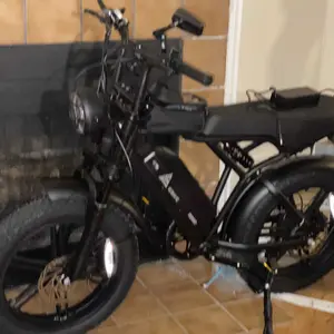 TST Seat Cushion and Foot Pegs