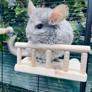 Kiln Dried Pine Ledge with Rail for Chinchillas, Sugar Gliders, Rats, Degu, Birds & Small Animals - Versatile Wooden Hanging Space