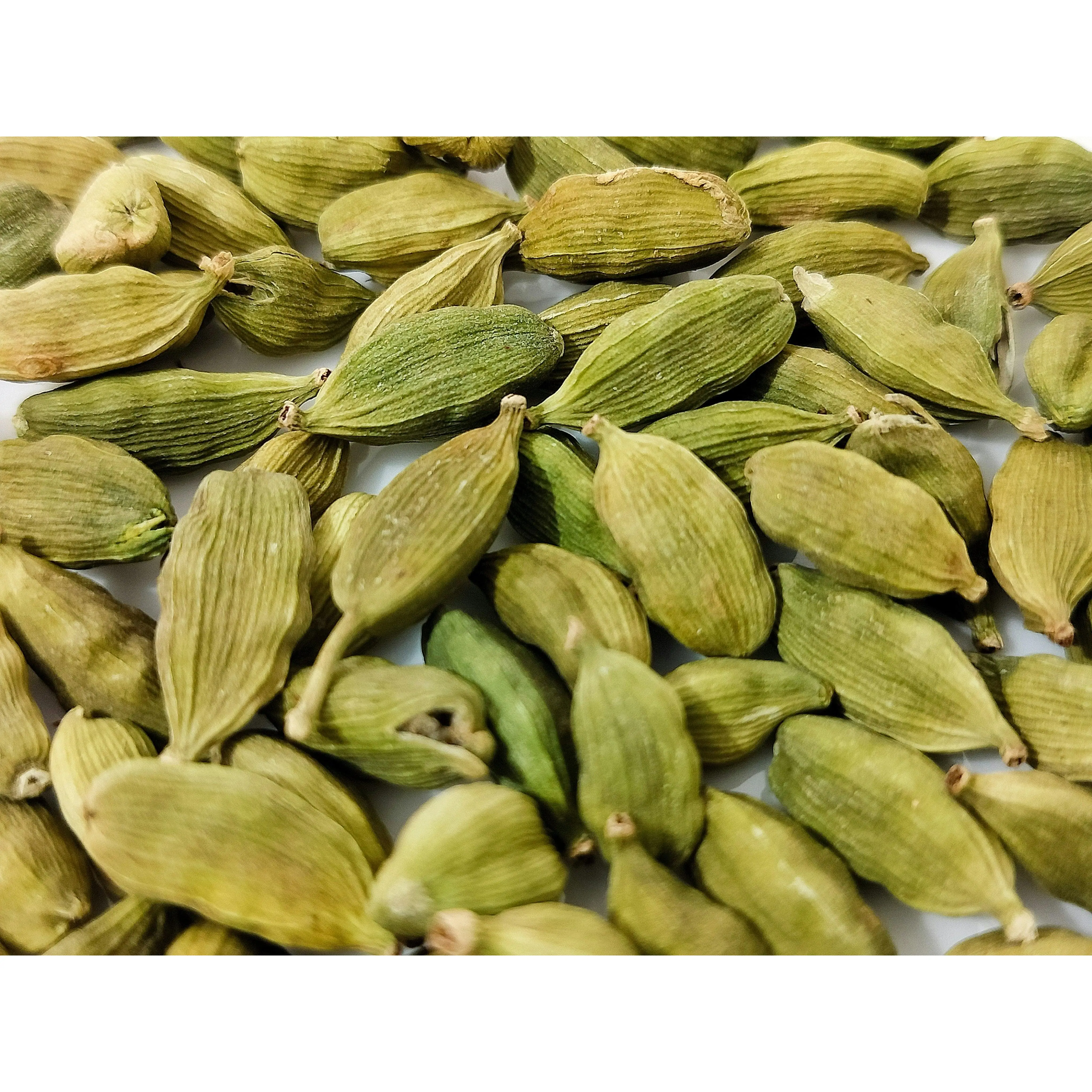 Cloud Forest Green Cardamom Spice Flavor Product from Matale Sri Lanka Sweet Tangy Ginger Apricot Notes 1.6 oz