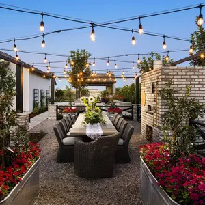 TORCHSTAR Pro Retro Outdoor Holiday Decor Patio Hanging String Light - 50 Feet 24 Sockets