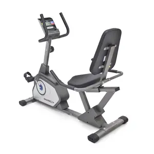 Marcy Recumbent Magnet Cycle Bike