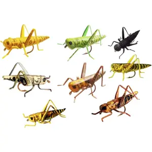 Ultra-Realistic Grasshopper & Cricket Fishing Flies Multi-Pack (8 Flies for Sizes 6 & 8, 7 Flies for Size 10)