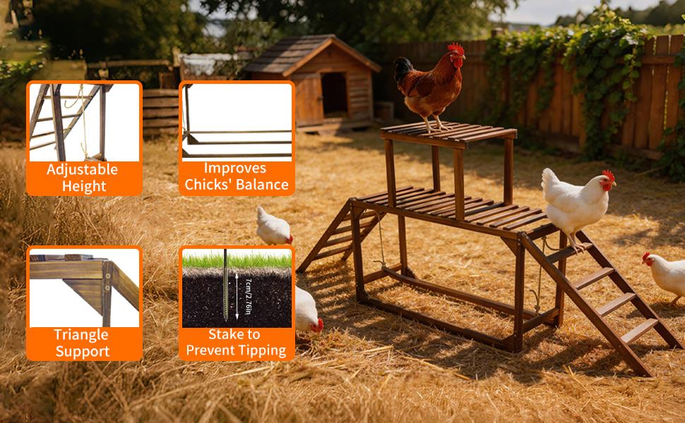 Bingopaw Wooden Chicken Jungle Gym with Ladder and Swing, 2-Tier Roosting Bar Stand for 8-10 Hens, Natural Pine Poultry Playground with Wide Slatted Platform